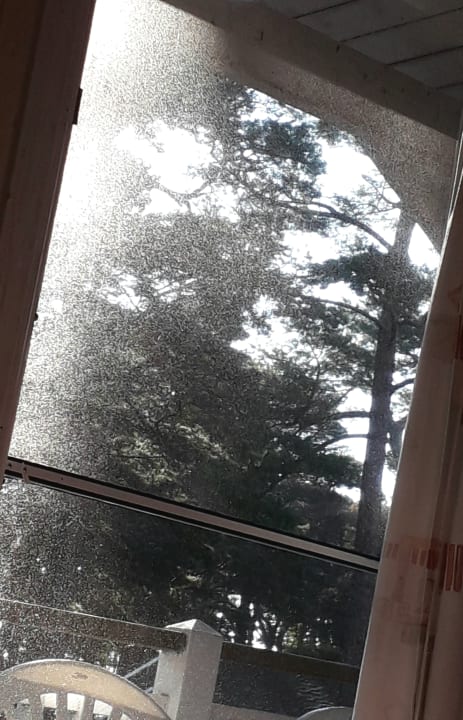 Zimmer Haus Landseer 215 - a69857