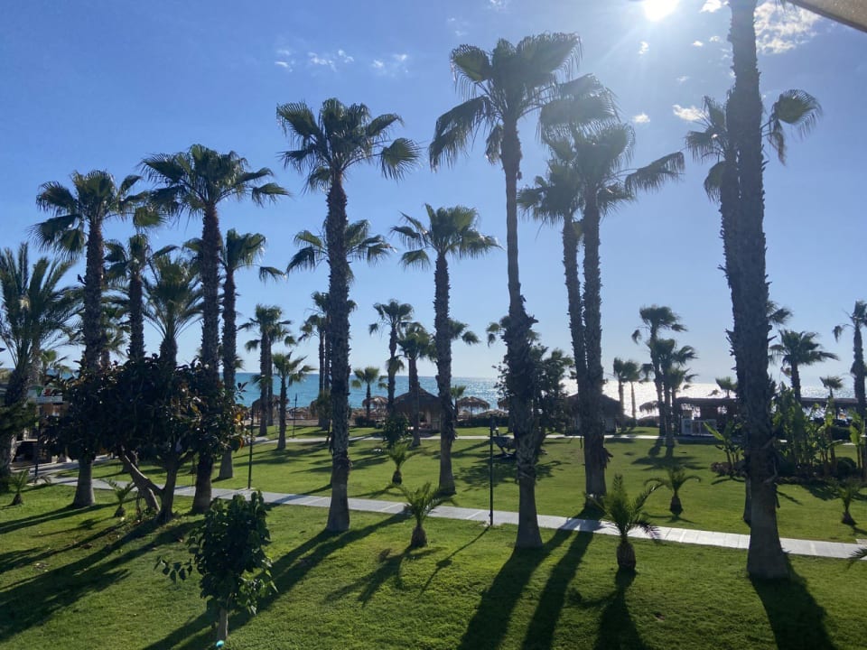 Gartenanlage Justiniano Park Conti