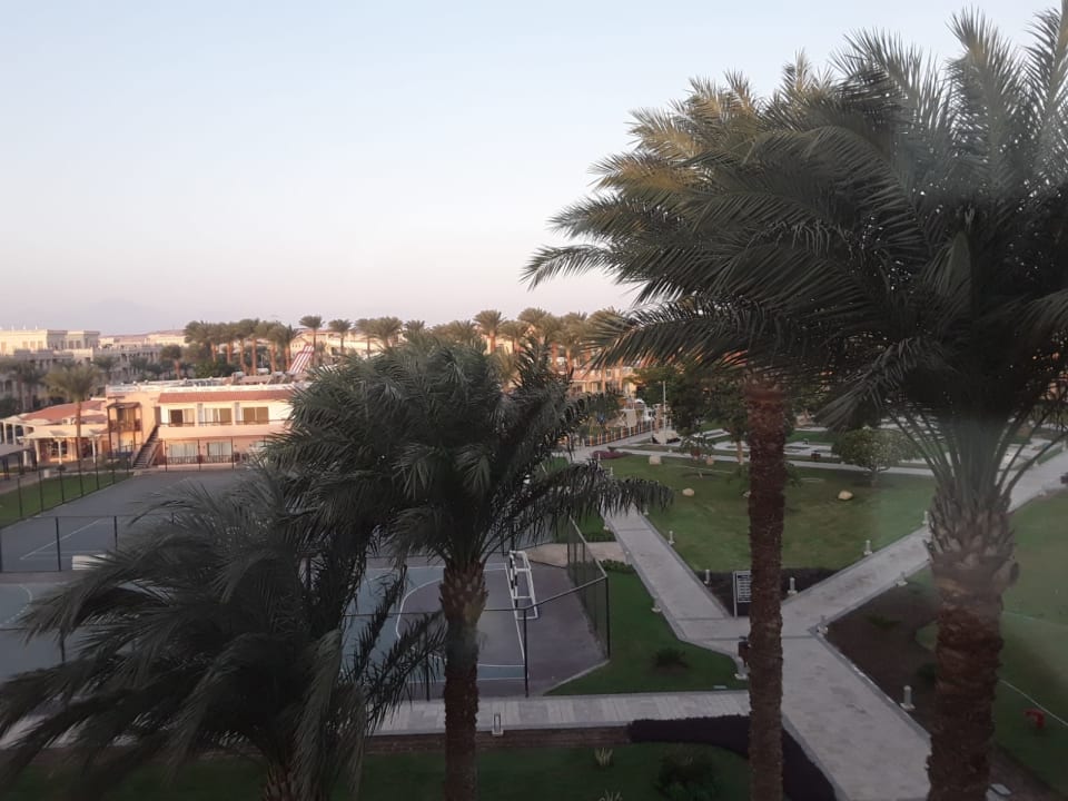 Ausblick Beach Albatros Resort