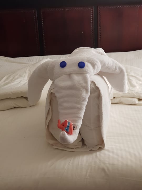 Zimmer Fort Arabesque Resort, Spa & Villas