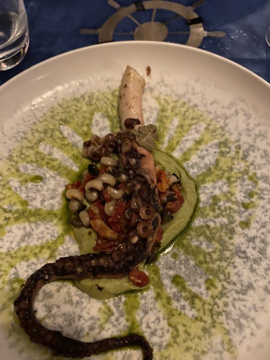 Gastro Acanthus Cennet Barut Collection