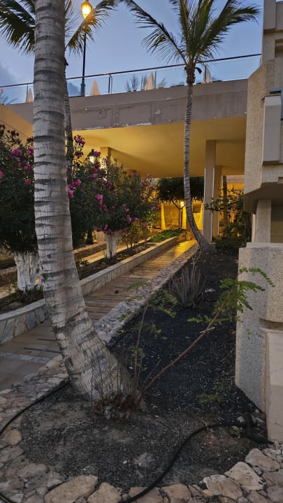 Gartenanlage SBH Hotel Taro Beach