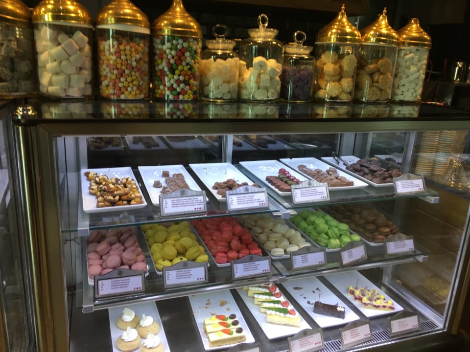 Gastro Acanthus Cennet Barut Collection