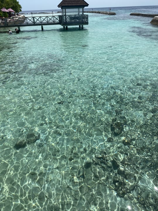 Strand Ellaidhoo Maldives by Cinnamon