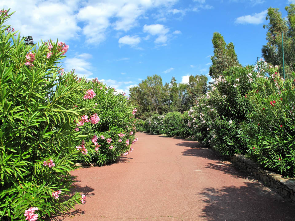 Weg zum Strand Budoni Resort