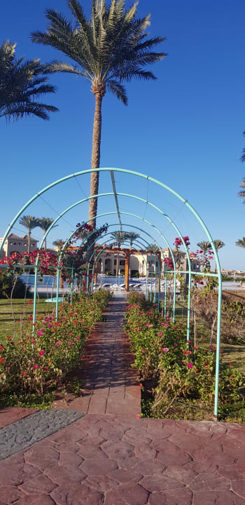 Gartenanlage Cleopatra Luxury Resort Makadi Bay