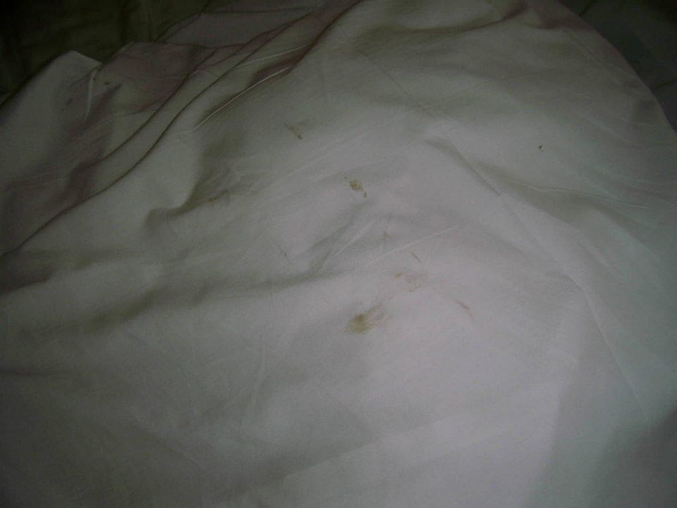 Verschmutztes Bettlaken Beach Albatros Resort