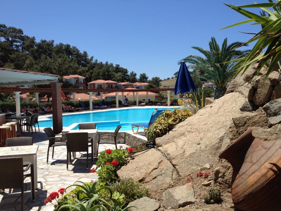 Pool Hotel Alma Beach