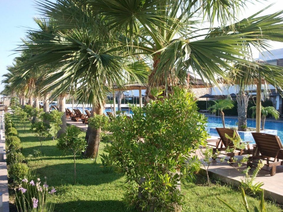 Pool TUI BLUE Palazzo del Mare