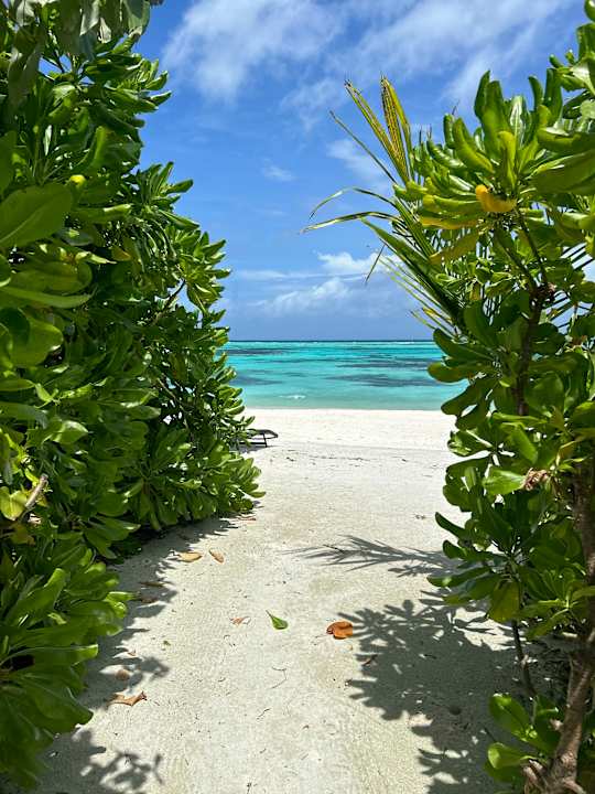 Gartenanlage Le Meridien Maldives Resort & Spa