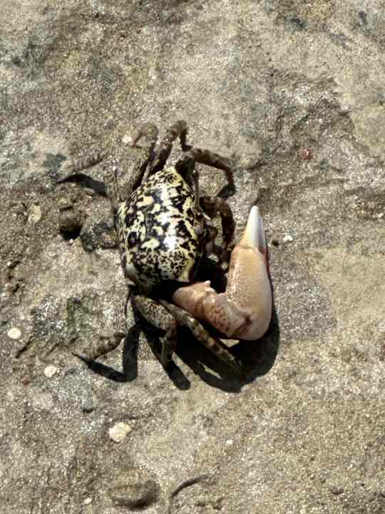 Strand Casa Mare Resort