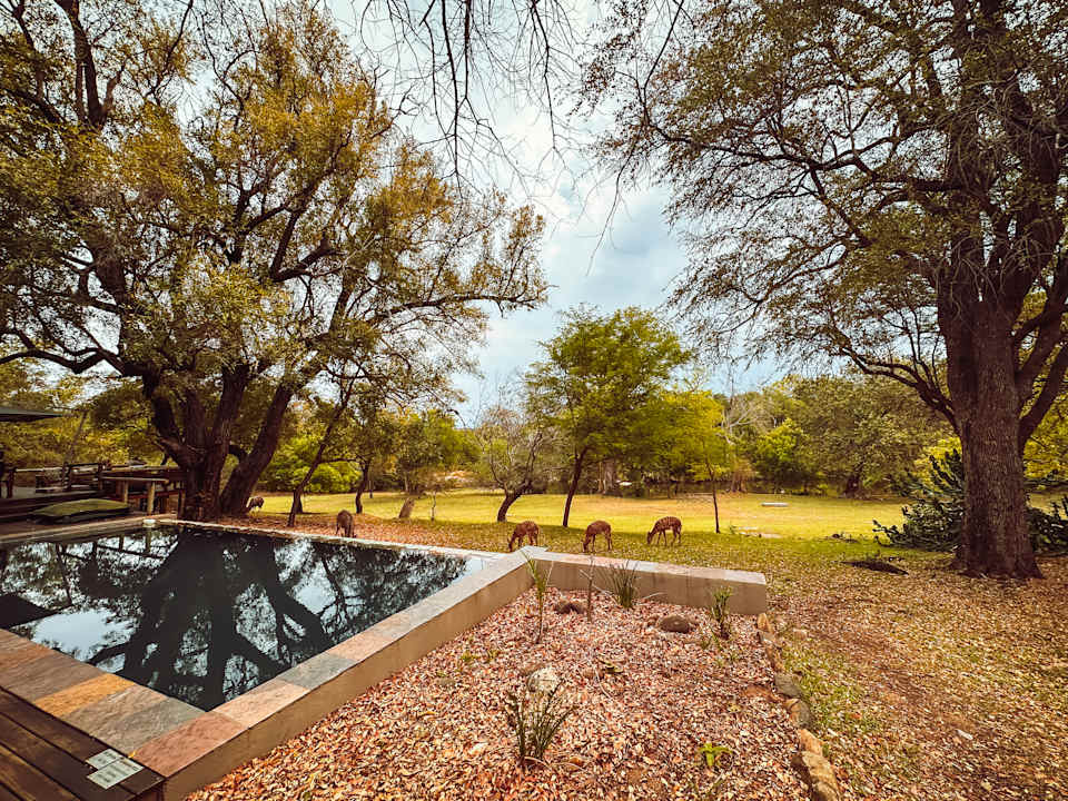 Pool Rukiya Safari Camp