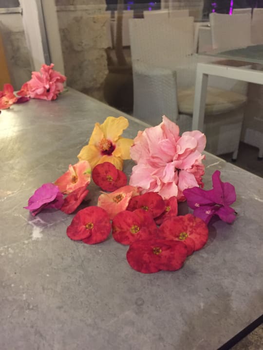 Gastro Pickalbatros Citadel Resort