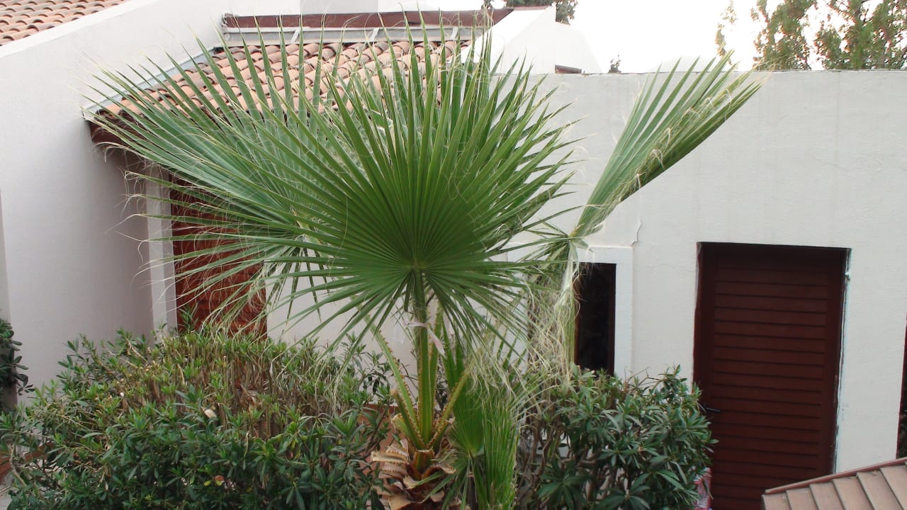 Sonstiges Hotel Pine Bay Holiday Resort