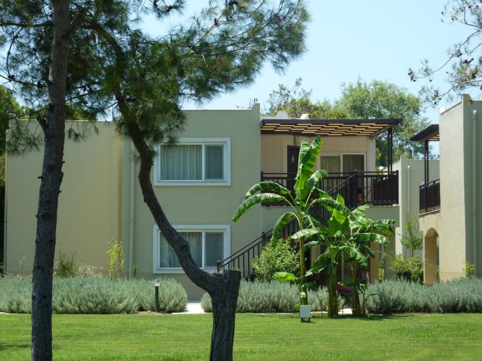 Bungalow Marvida Family Eco