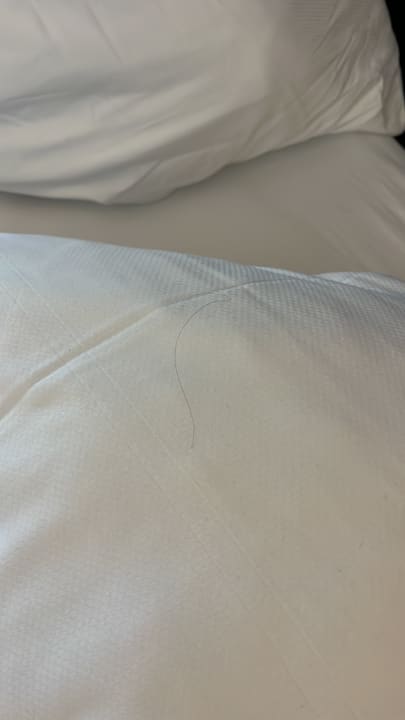 Zimmer Verwöhnhotel Wildspitze