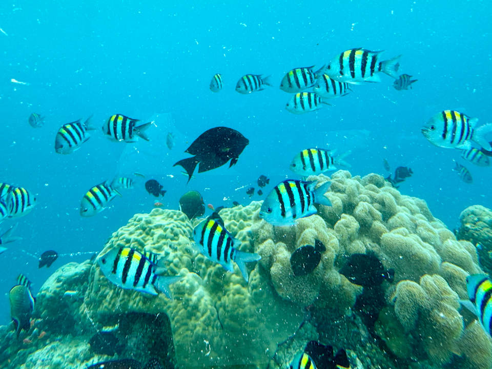 Sonstiges Jawakara Islands Maldives