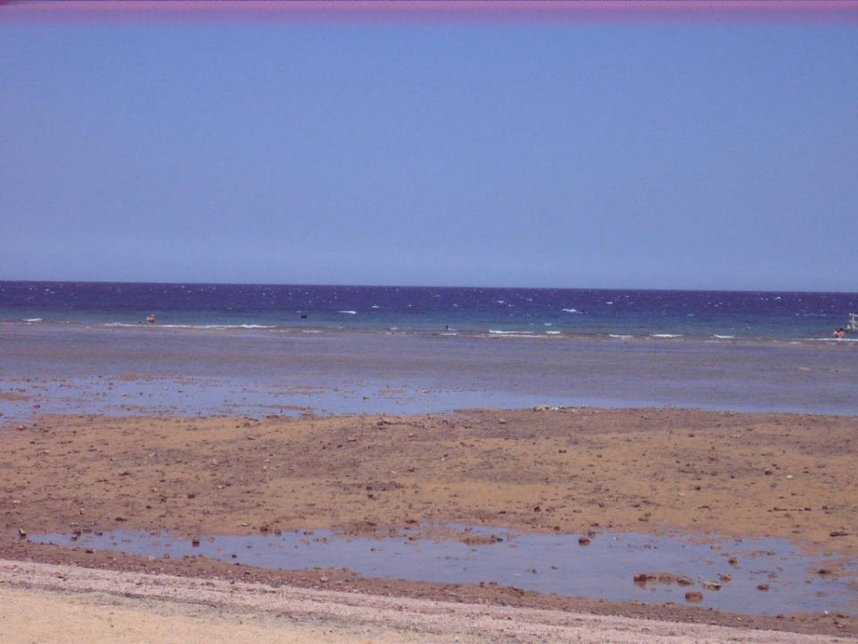 Hotelstrand bei Ebbe Pickalbatros Palace Resort