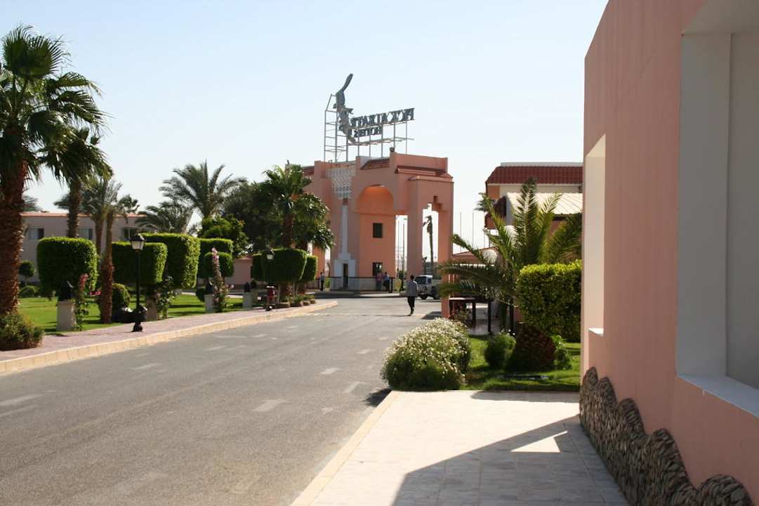 Beach Albatros 2010 Beach Albatros Resort