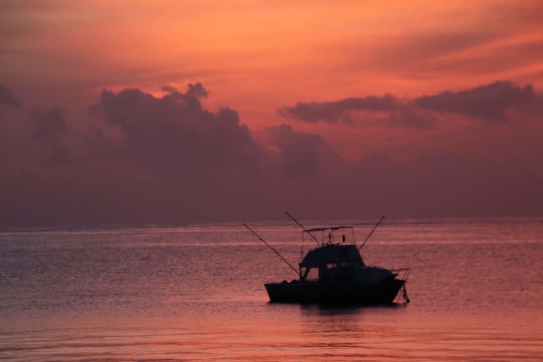 Ausblick Neptune Palm Beach Boutique Resort & Spa