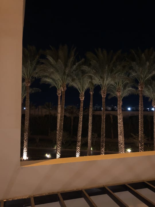 Ausblick Steigenberger Aqua Magic