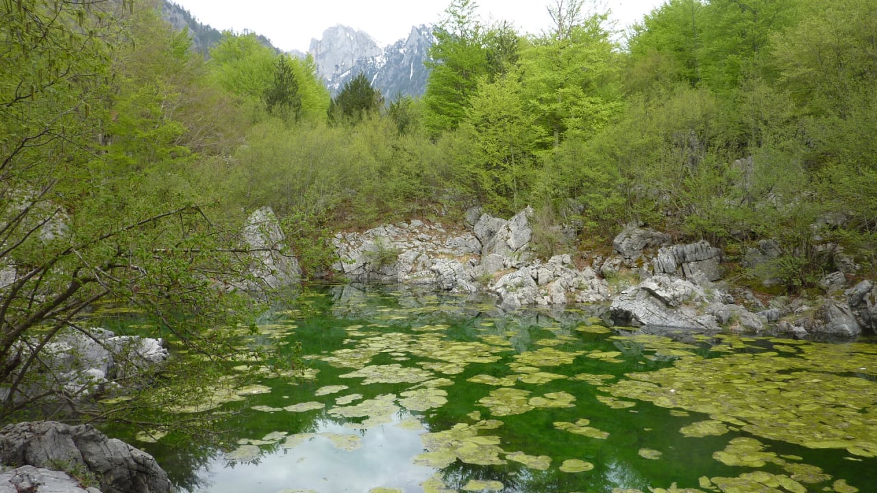 Sonstiges Hotel Margjeka