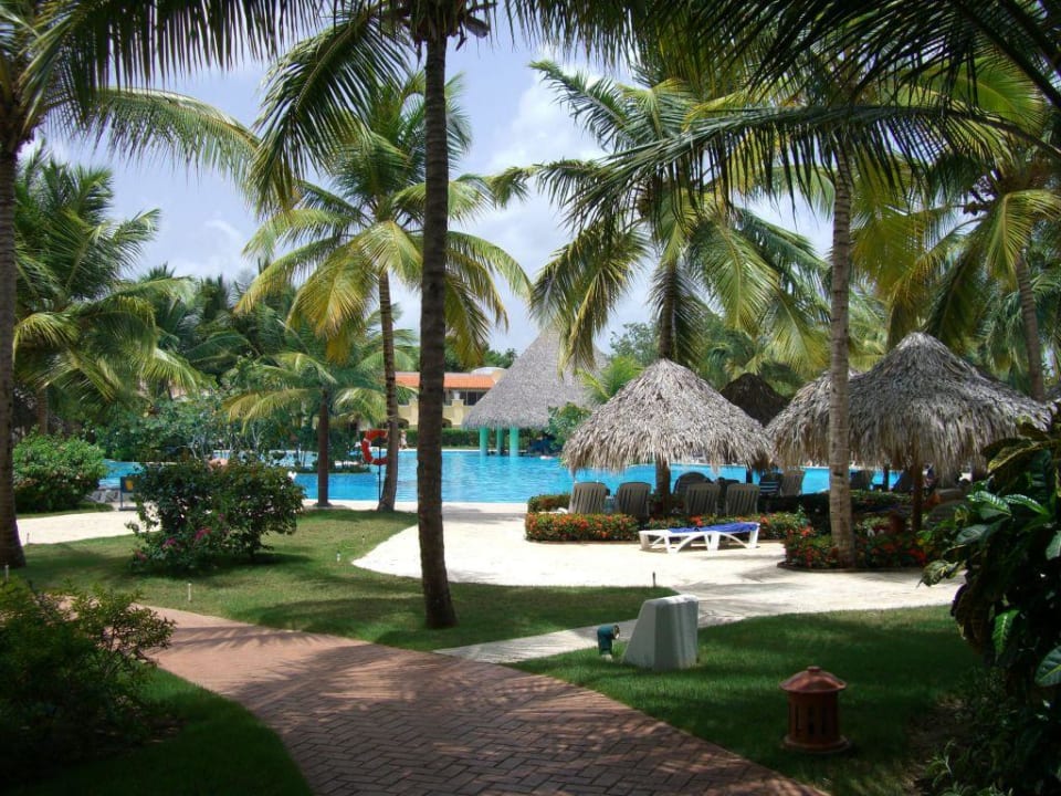 Blick auf Pool Iberostar Selection Hacienda Dominicus