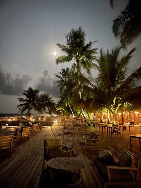 Gastro Vilamendhoo Island Resort & Spa