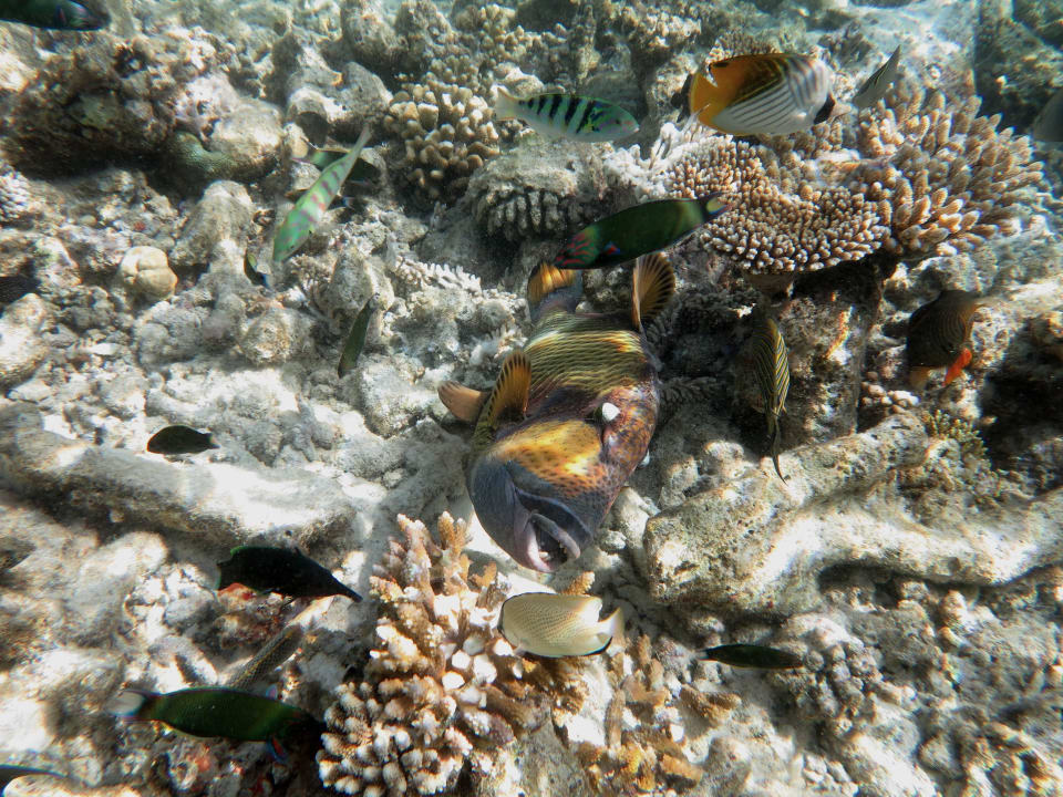 Am Hausriff Diamonds Thudufushi