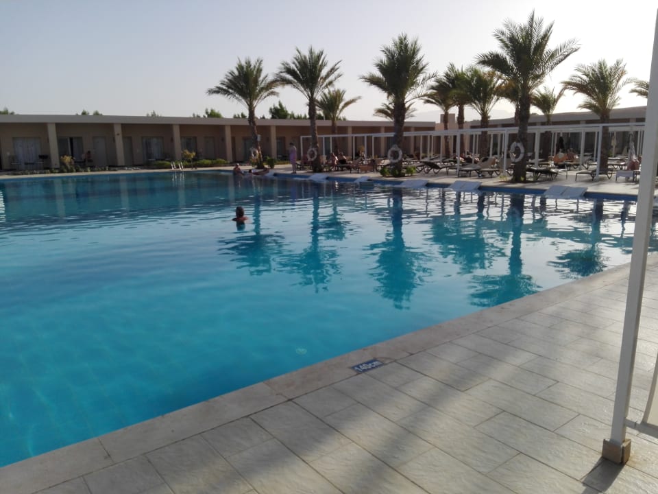 Pool Steigenberger Makadi Hotel - Adults only