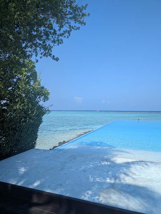 Pool Summer Island Maldives