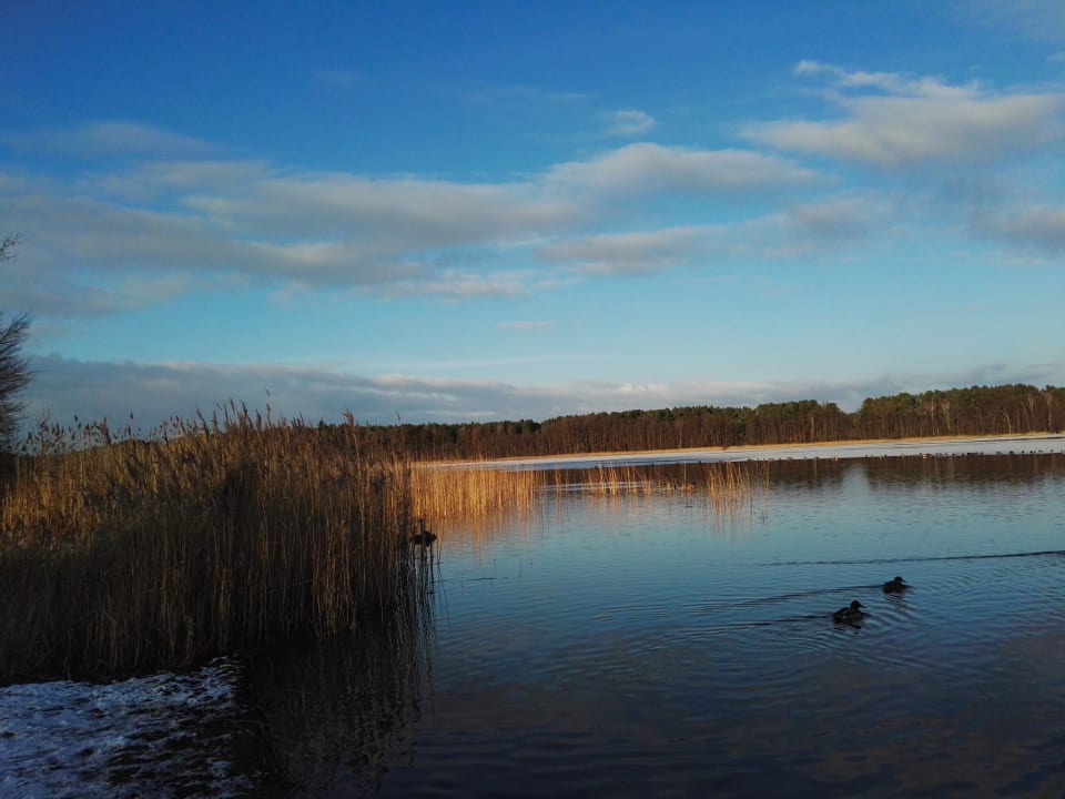  Ausblick  AHORN Seehotel Templin  Templin      HolidayCheck  Brandenburg