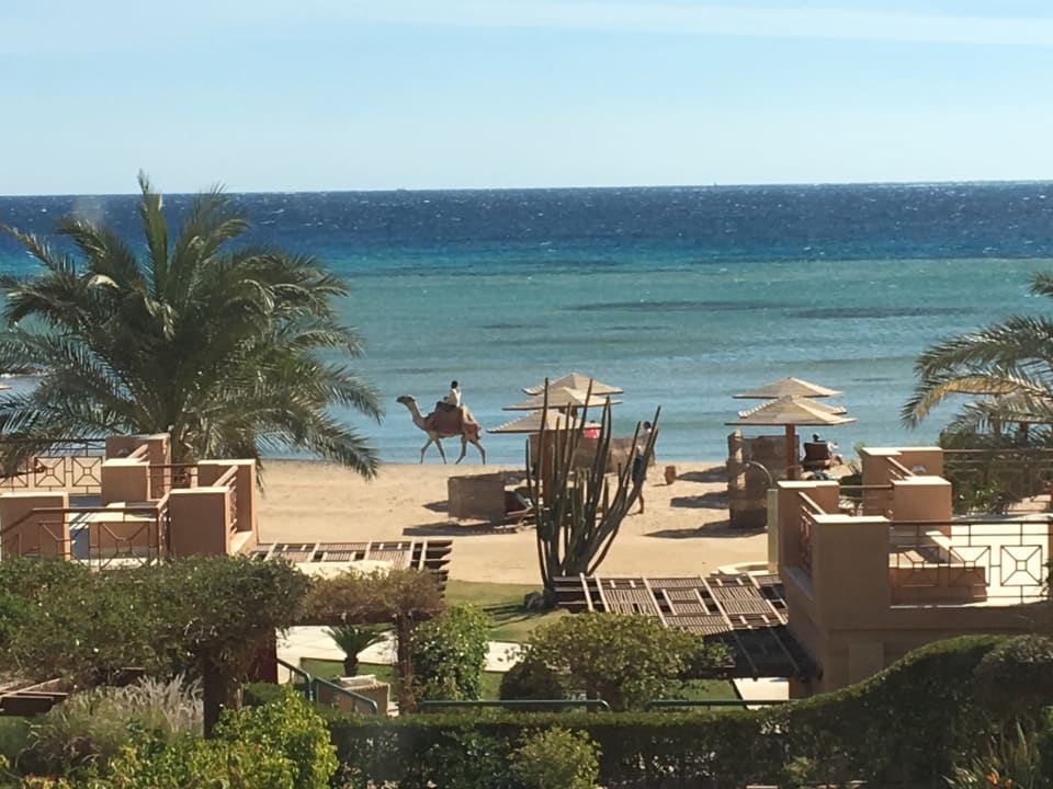 Ausblick Shams Prestige Abu Soma-Adults Only