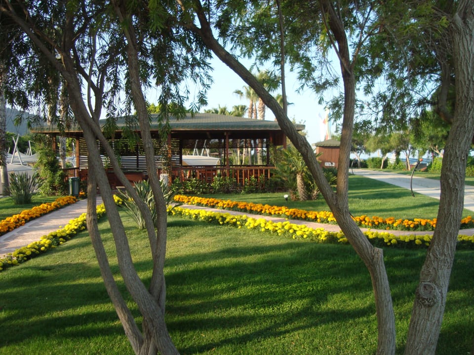 View from garden Limak Limra Hotel & Resort