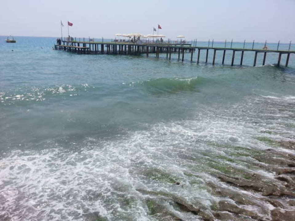 Plaża Dizalya Palm Garden