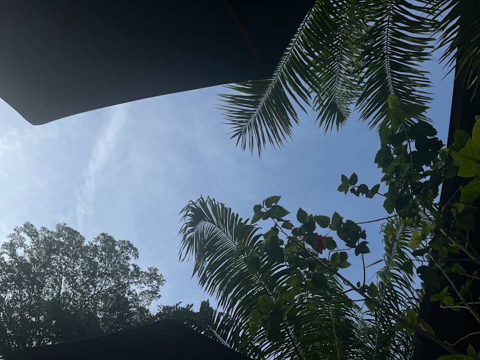 Ausblick Sakti Garden Resort & Spa