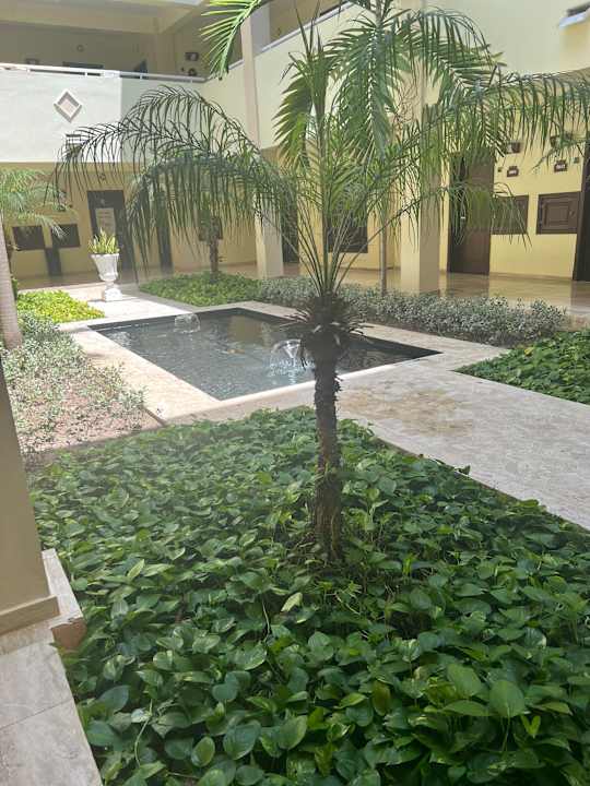 Gartenanlage TRS Turquesa Hotel - Adults only