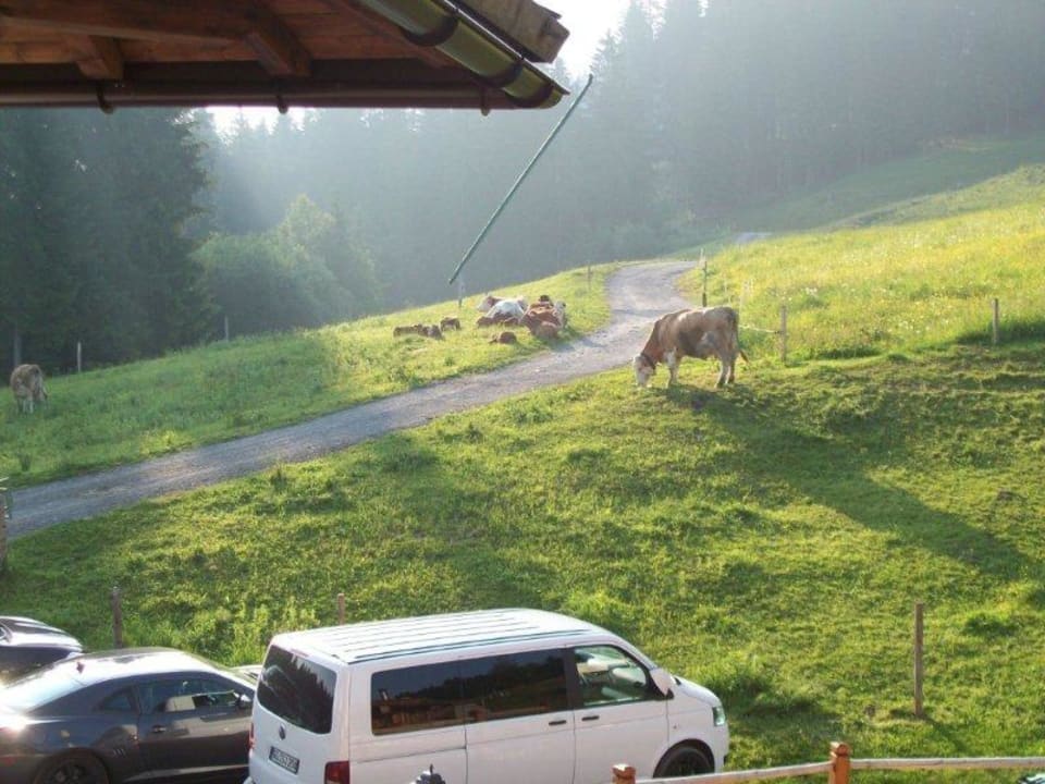 Zimmeraussicht Hotel Müllneralm - das Hundeparadies