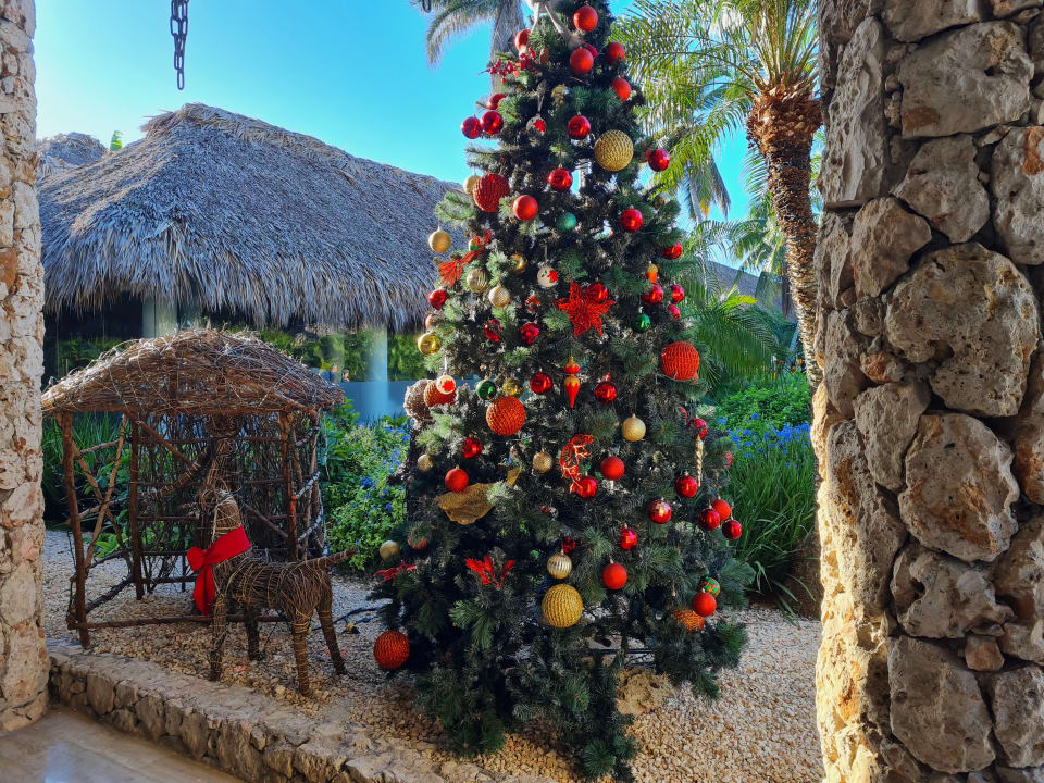 Sonstiges Hotel Viva Dominicus Beach by Wyndham - All Inclusive Resort