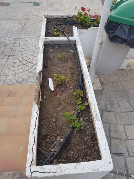 Außenansicht Melia La Palma Hotel