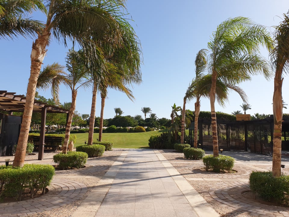 Gartenanlage Steigenberger ALDAU Beach Hotel