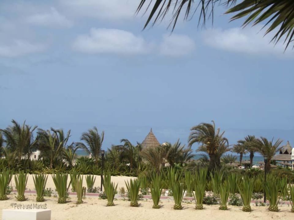 Ausblick beim Frühstück Hotel Riu Karamboa