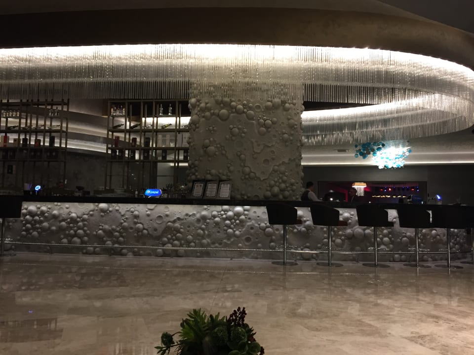 Unser Crazy Freund Chiba Royal Seginus