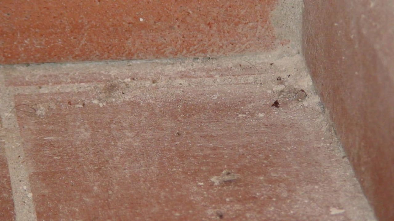 Staub, Haare und tote Tiere in den Ecken Hotel Antico Borgo San Lorenzo