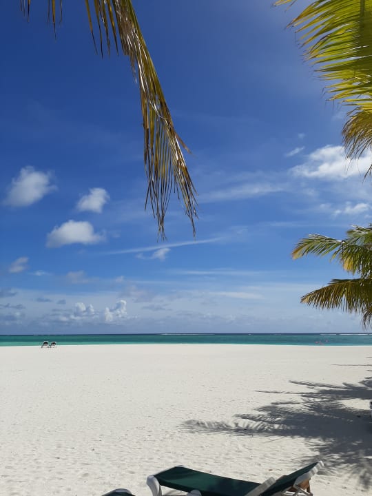 Strand Meeru Maldives Resort Island