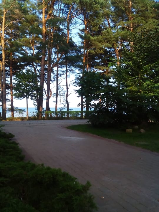 Weg zum Strand IFA Rügen Hotel & Ferienpark