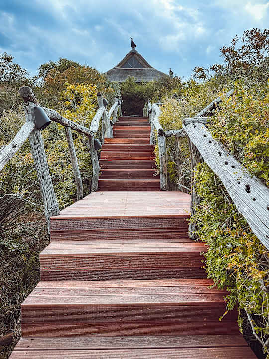 Außenansicht Hotel Pumba Private Game Reserve