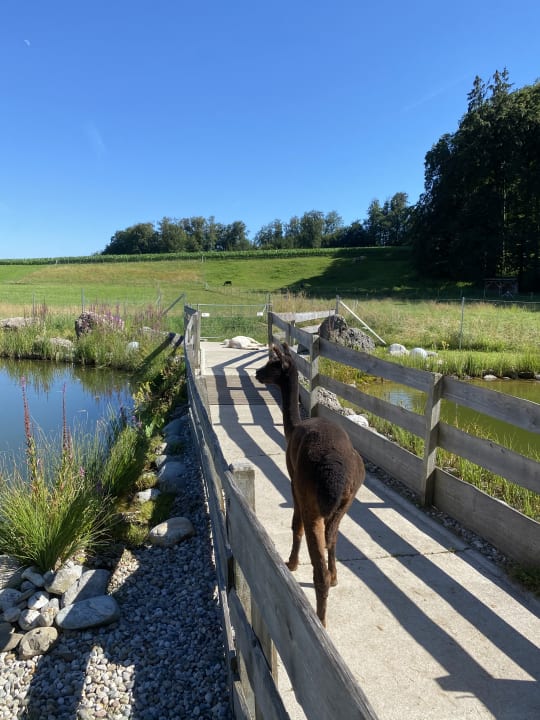 Sport & Freizeit Staller Ferienhof