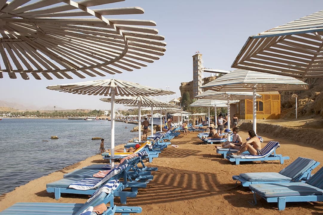 Strandansicht Albatros Sharm Resort