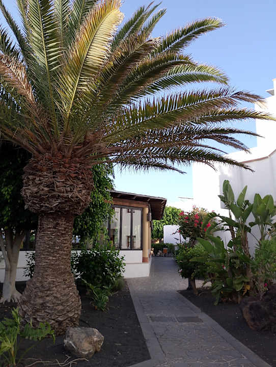 Gartenanlage allsun App.-Hotel Albatros